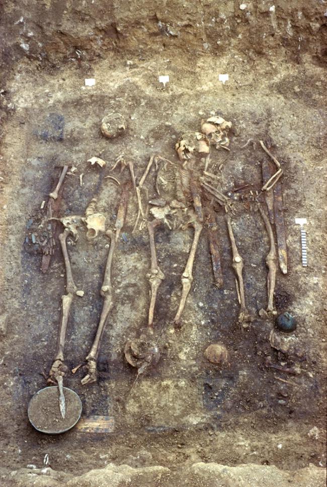 在该墓地中挖掘出的人类遗骸