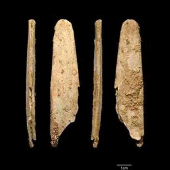 发现尼安德特人时期的骨质器具碎片