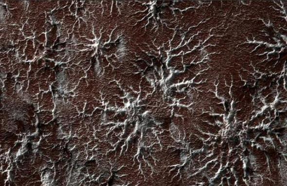 最新勘测发现火星南极表面存在“蜘蛛状”地形，事实上是夏季干冰消失在大气层中，火星表面出现怪异的蜘蛛状通道。
