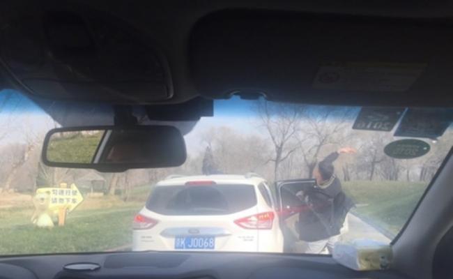 北京大兴野生动物园男子两次下车“拿东西砸熊”