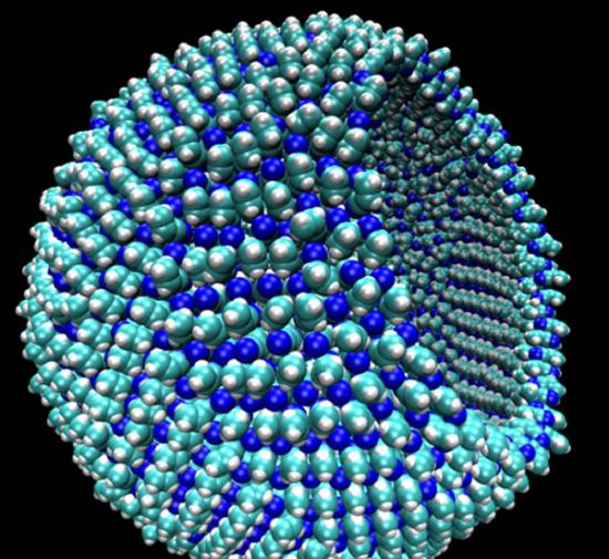 一个9纳米“氮质体”的示意图，其大小与一个病毒相当，有一部分外膜移去，显示出其空心结构。