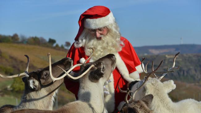 “圣诞老人故乡”芬兰拉普兰区因为气候缘故只剩一成的萨米人饲养驯鹿