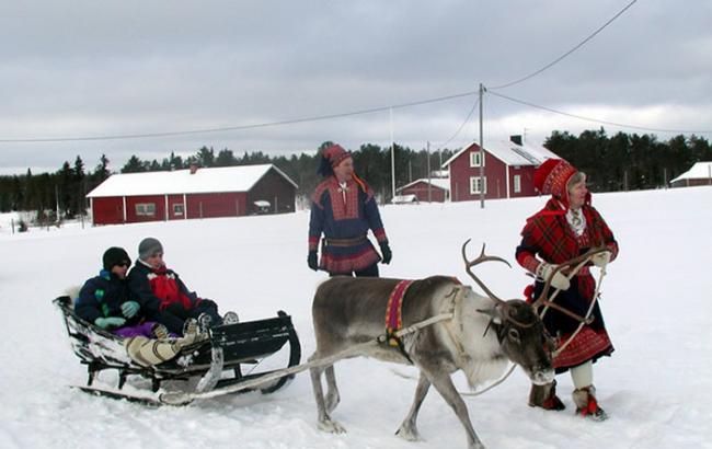 “圣诞老人故乡”芬兰拉普兰区因为气候缘故只剩一成的萨米人饲养驯鹿