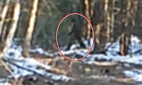 从男童所拍摄的片段所见，疑似大脚怪的巨型生物(红圈示)在树林走过。