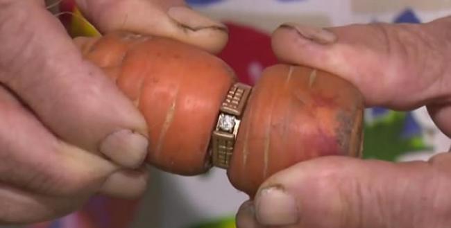 加拿大84岁阿婆求婚钻戒失踪13年 在农场红萝卜身上找到