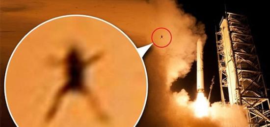 美国NASA的米诺陶五号火箭发射升空吹飞小青蛙