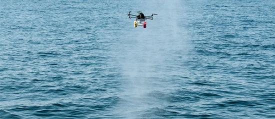 出动无人机飞到鲸鱼上方测量“口气”