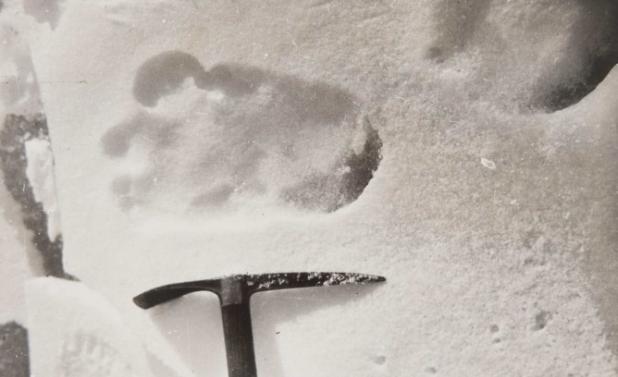 这照片上的足印，据称是由传说生物“喜马拉雅山雪人”所留下的。