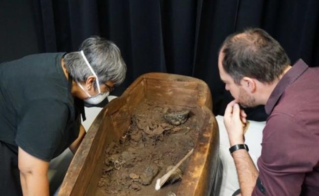 考古人员发现棺材里有木乃伊残骸。