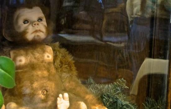 婴儿大脚怪的艺术家印象图。这是国际隐生动物学博物馆里展出的上万件物品之一。