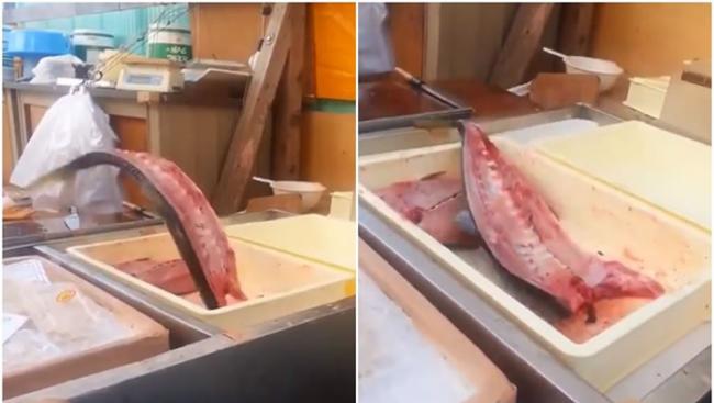 日本网友推特上贴出影片：被断头剖半的最新鲜“生鱼片”依旧活泼乱跳