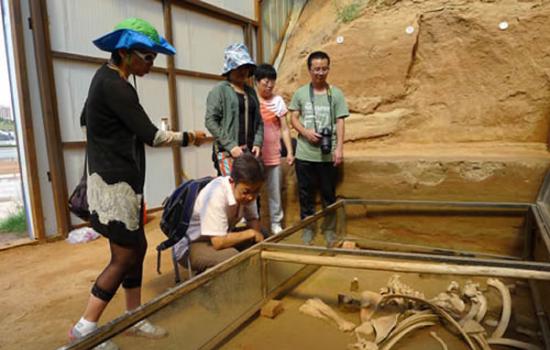 张兆群研究员与应敏，刘雅文副局长查看乌兰木伦遗址下部地层出土的披毛犀骨架化石