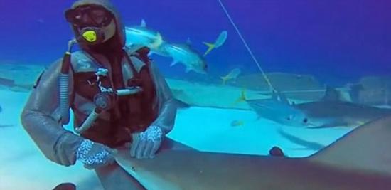 意大利职业潜水员“催眠”鲨鱼