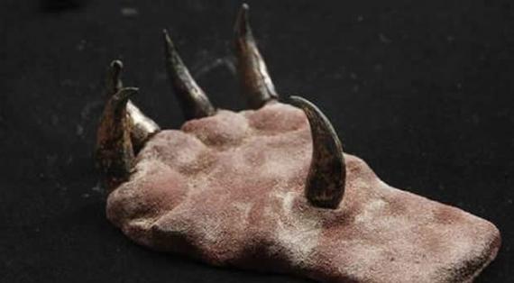 考古学家在秘鲁贵族古墓挖掘出1500年前的“金属猫爪”