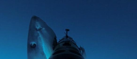 墨西哥瓜达卢普岛水域Remus SharkCam机器人车被大白鲨攻击