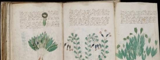 英国教授声称成功破译部分《伏尼契手稿(Voynich manuscript)》