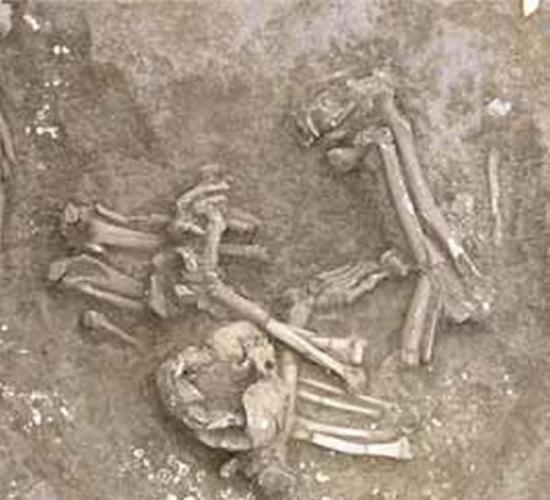 邕江河畔凌屋村新石器时代贝丘遗址“屈肢葬”