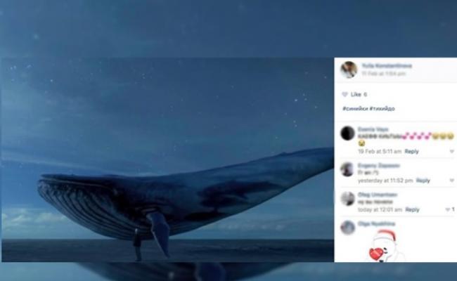 有少女在自杀前，曾在社交网上载蓝鲸的图片。