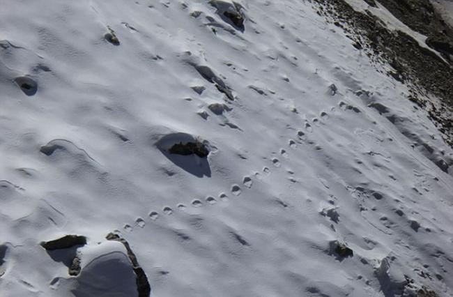 登山家Steve Berry称在喜马拉雅山深处发现古老的野兽“夜帝”( yeti)脚印