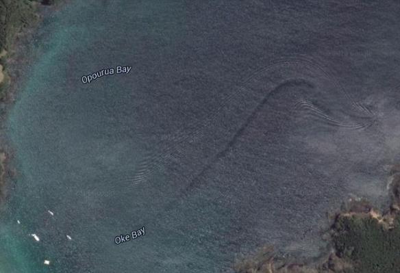 谷歌地图在新西兰北部奥克湾海域拍到巨大神秘海洋生物