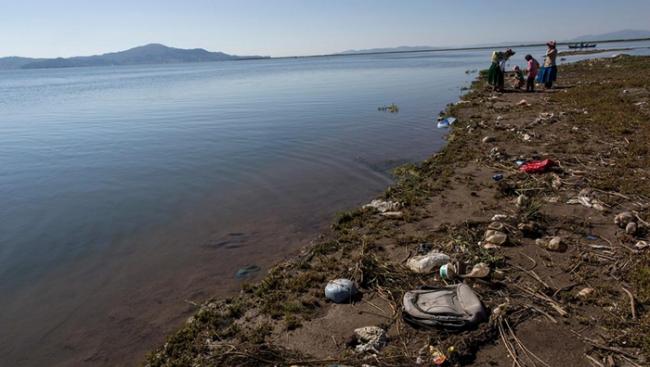垃圾四处散布在的的喀喀湖岸，改变湖水酸度，经由皮肤皱褶吸收氧气的湖蛙会因此而受害。 PHOTOGRAPH BY RODRIGO ABD, AP