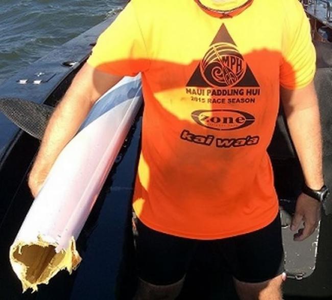 澳洲布里斯班男子乘独木舟出海遭鲨鱼袭击 舟尾被咬破