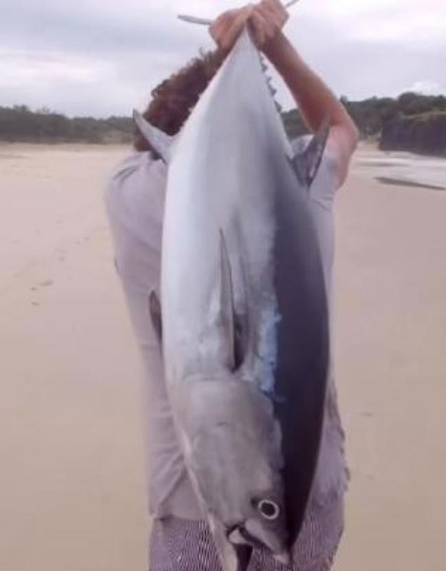 澳洲3名男子酒后忽发奇想 用航拍无人机成功钓获20公斤重吞拿鱼