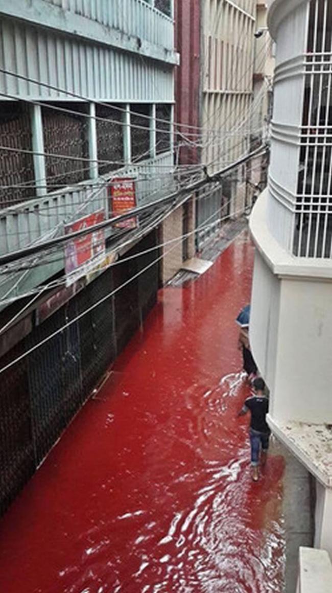 “血流成河”：孟加拉首都卡达穆斯林过“宰牲节”