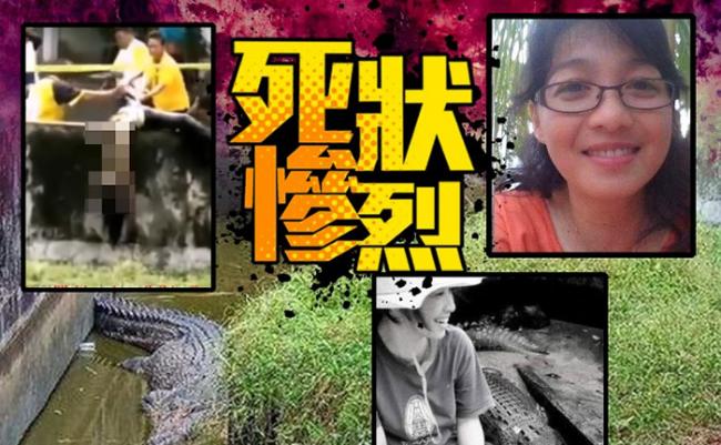 恐怖：印度尼西亚女生物学家Deasy Tuwo在喂饲鳄鱼时被吃掉