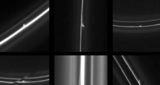 去年，相机拍摄到数百颗直径达半英里的天体正在一个土星环里横冲直撞。上一组从左向右，这些图片里的尾状结构的长度依次是18英里(28.97公里)、85英里(136.