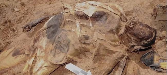 美国纽约皇后区工地挖出19世纪铁棺女尸 死因是天花