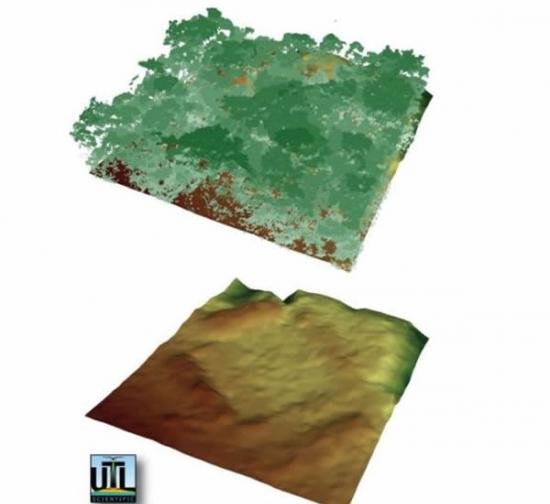 上图为研究人员绘制的林木线，下图为“看穿”树荫后揭示的地面