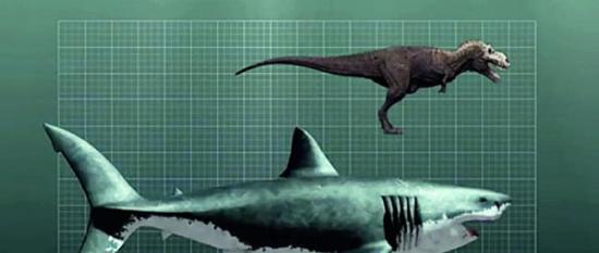 证据表明这个家伙还活着。通过对巨齿鲨牙齿所做的碳测定表明它存在于一万年前，跟我们收集到的证据综合起来，结论是这种怪兽根本不曾灭绝，只是近期才巡游到这片海豹密集的