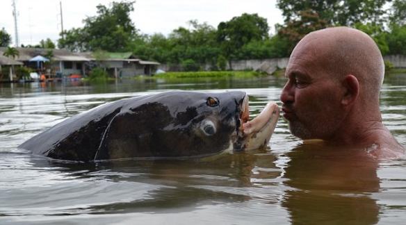 英国游客在泰国缠斗50分钟钓起创世界纪录的巨型暹罗鲤