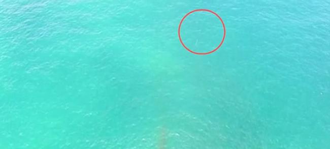 智利拉塞林娜地区北部南太平洋上拍摄到神秘“潜水UFO”