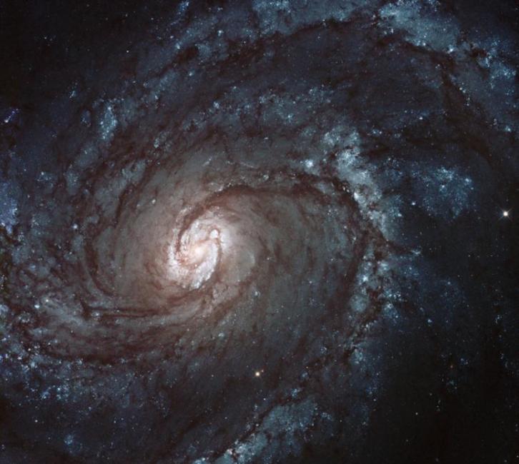 美国宇航局发布一张室女座星系团中螺旋星系M100的图片