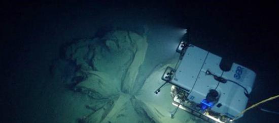 墨西哥湾1900米深海发现喷沥青的火山