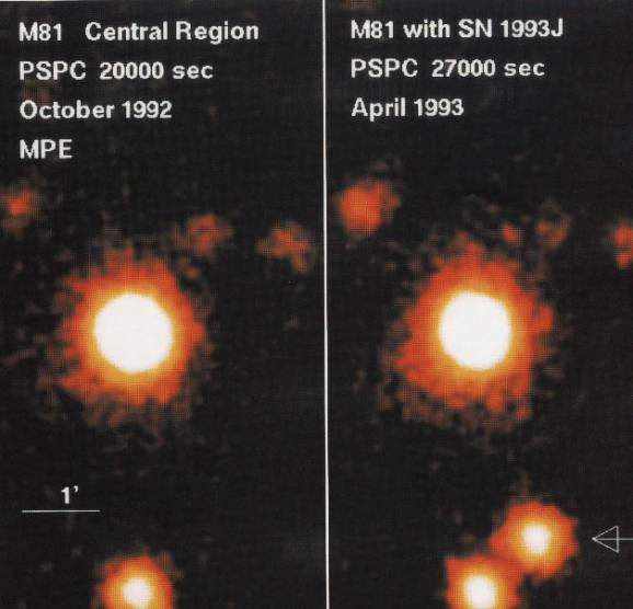 伴星“掠夺”引起的超新星爆发SN 1993J