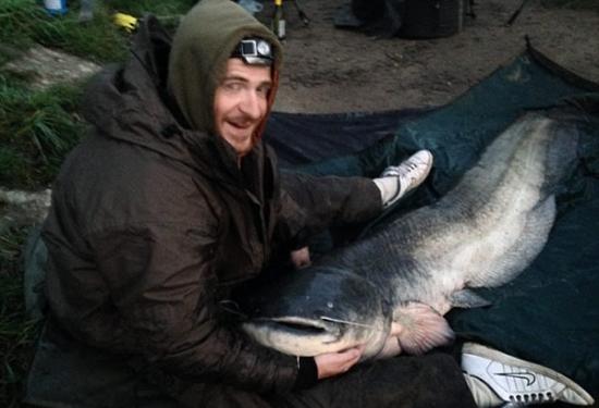 英国钓鱼爱好者钓到一条重达54公斤的超大型鲶鱼