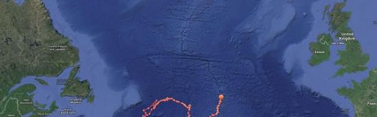 大白鲨横渡大西洋