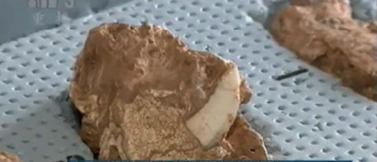 大连复州湾现距今约50万年古人类活动遗址――骆驼山金远洞