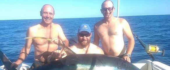 艾柏特(中)与两名朋友合力，将85公斤重的黄鳍吞拿鱼拖上船。