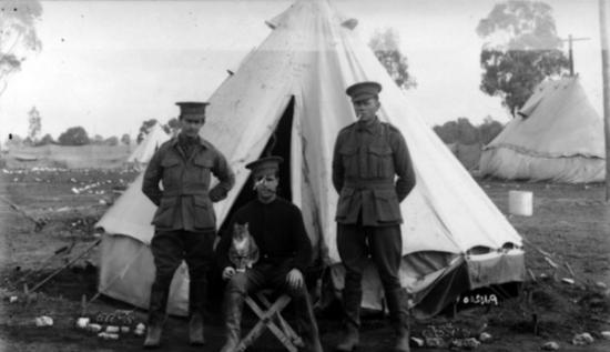 1915年8月12日，澳洲官兵与猫。