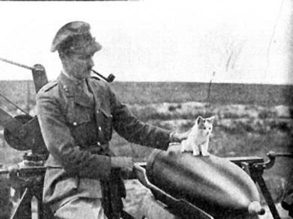比利时Lekeux中尉和军猫Pitouchi