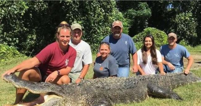 美国密西西比州新手女猎人捕获长逾4米巨鳄破纪录