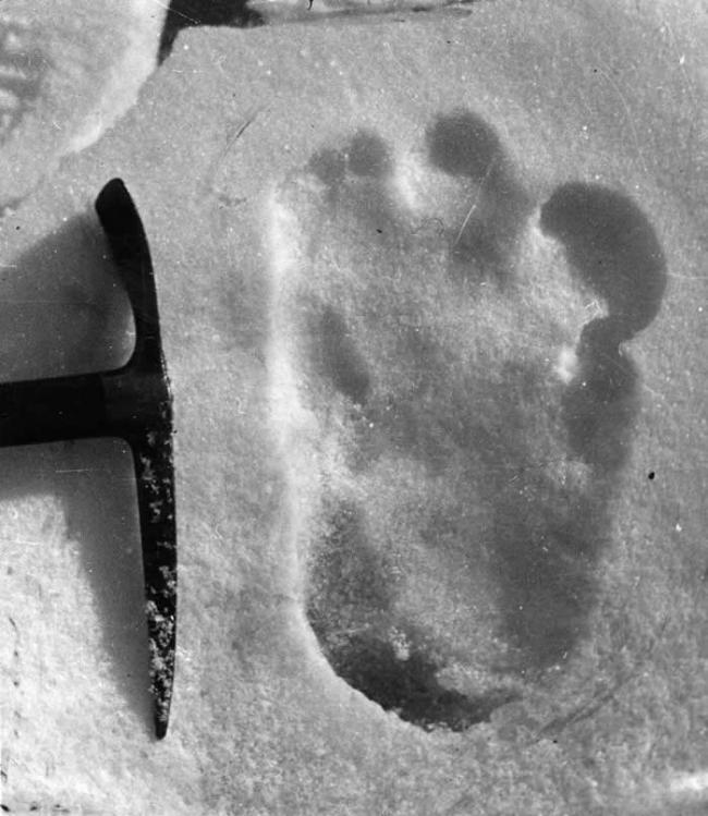 艾瑞克．西普顿在1951年发现了这个「可憎的雪人」脚印，拍了一张照片。他把冰斧放在旁边当比例尺。 PHOTOGRAPH BY TOPICAL PRESS AGE