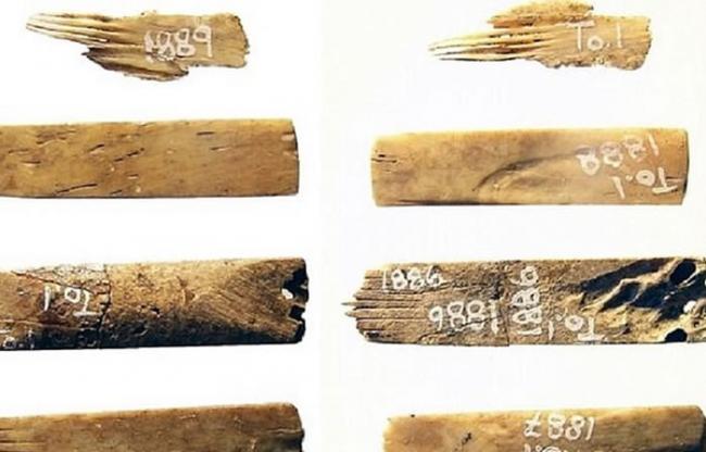 汤加王国发现2700年前由人类和海鸟骨头制成的“纹身工具”
