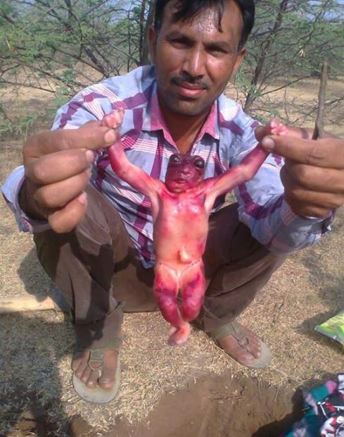 又见外星人？印度村民凿井取水时意外发现人形生物