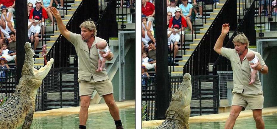 2004年，澳“鳄鱼捕手”史蒂夫・欧文曾抱着还是婴儿的罗伯特喂食鳄鱼，此举曾引发争议。