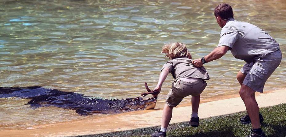 澳大利亚已故著名鳄鱼捕手史蒂夫・欧文之子勇敢喂食巨鳄